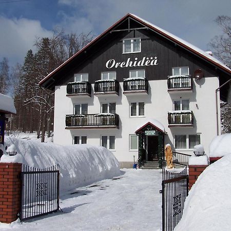 Bed and Breakfast Orchidea Шклярска-Поремба Экстерьер фото