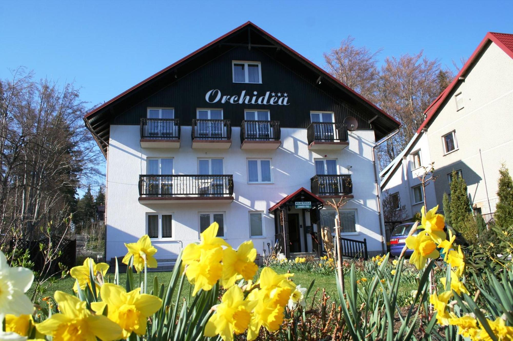 Bed and Breakfast Orchidea Шклярска-Поремба Экстерьер фото